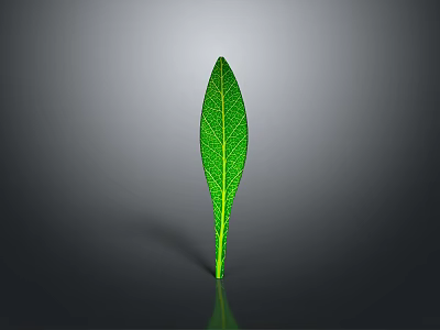Vibrant Arbor Tree With Shiny Green Leaf And Clear Veins On Gray Background 3d model