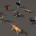 Animal Mammal Low Model Animal Low Face Number Animal Game Animal Animal Simple Model Realistic Animal Camel Kangaroo Ostrich Turtle Lizard 3d model