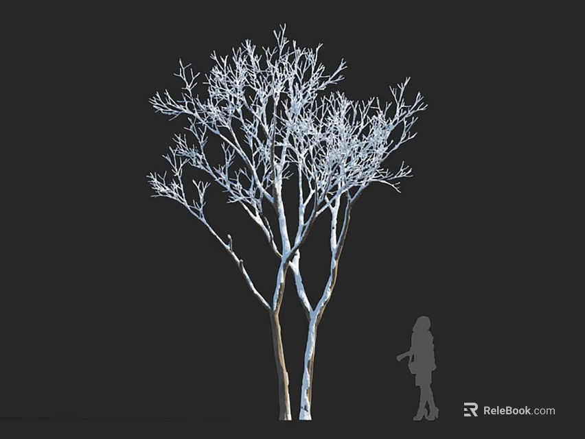 Tall Arbor Featuring White Trunk Leafless Branches And Human Silhouette Against Black Background 3d model