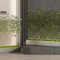 Bamboo Plants In Modern Containers For Interior