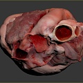 Modern Heart Human Heart Heart Anatomy 3d model