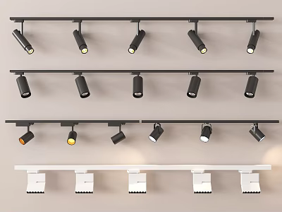 Modern Track Mounted Downlights and Spotlights in Black White Fixture Designs 3d model