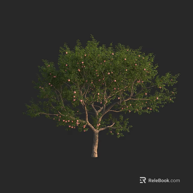 Lush Green Arbor With Brown Trunk And Plentiful Ripe Fruits 3d model 