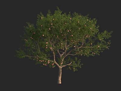 Lush Green Arbor With Brown Trunk And Plentiful Ripe Fruits 3d model