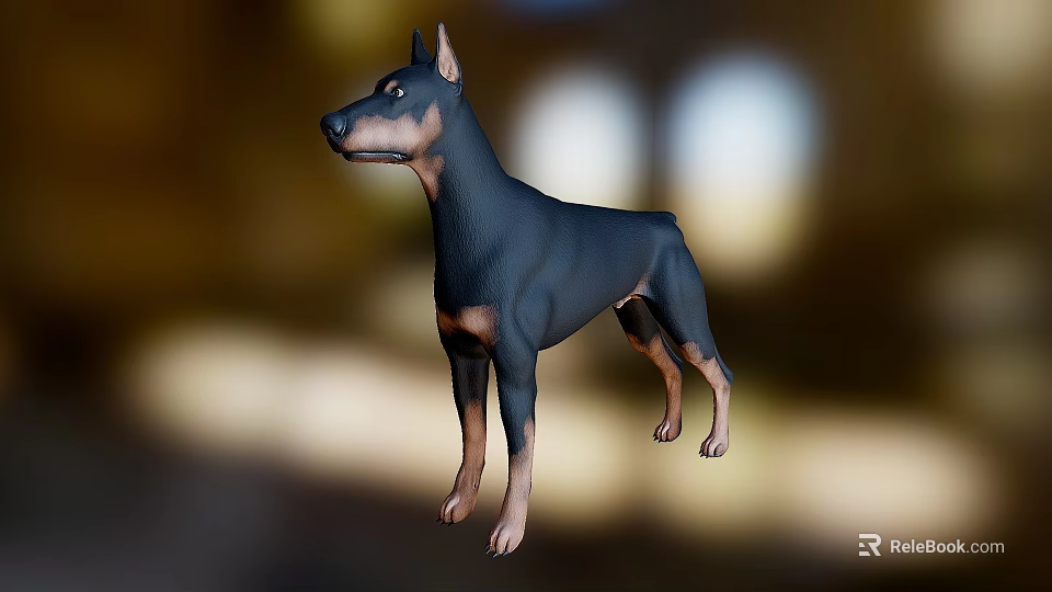 Realistic Doberman 3D Model With Black And Tan Coat Standing Pose 3d model 