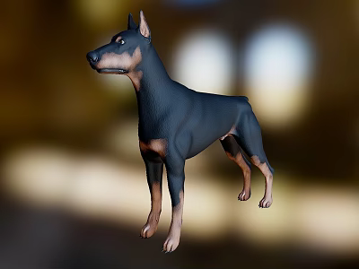 Realistic Doberman 3D Model With Black And Tan Coat Standing Pose 3d model