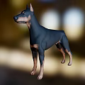 Realistic Doberman 3D Model With Black And Tan Coat Standing Pose 3d model