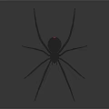 Realistic Black Spider With Long Thin Legs On Dark Background