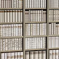 Stylish Bookcase With Multiple Shelves Neatly Arranged Books Neutral Tones And Textured Covers