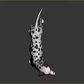 Dalmatian Dog With Black Spots And White Coat Standing On Shiny Floor