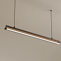 Modern Linear Pendant Light With Wooden Frame And LED Illumination For Interior Ceiling 3d model