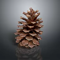 Close Up View Of Natural Pine Cone With Detailed Texture On Dark Background