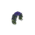 Beautiful Arched Pergola In Outdoor Garden With Purple Flowers And Green Leaves