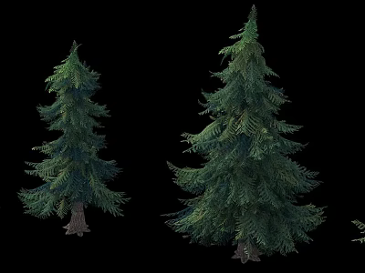 Two Green Pine Trees With Different Sizes And Needle Leaves On Black Background 3d model