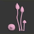 Pink Mushroom Like Plants Of Various Sizes On Dark Background With Reflection