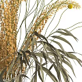 Dried Flower Vase Arrangement with Golden Wheat Stems Green Leaves and Yellow Pom-Poms