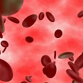 Organ System Visualization With Red Blood Cells Green Cells And Red Background
