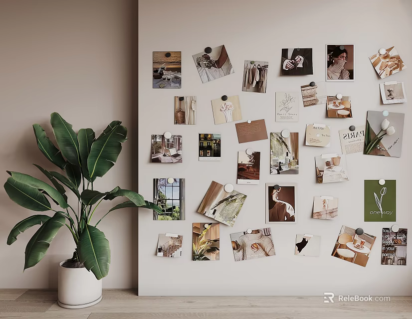 Decorative Photo Wall With Various Photos And Cards Near A Large Green Plant 3d model 