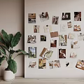 Decorative Photo Wall With Various Photos And Cards Near A Large Green Plant