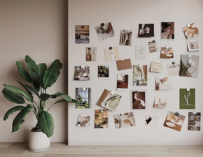 Decorative Photo Wall With Various Photos And Cards Near A Large Green Plant 3d model