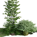 Plant combination trees grass haystack 3d model