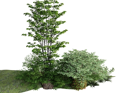 Plant combination trees grass haystack 3d model