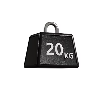 Dumbbell weight weight weight device 3d model