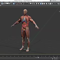Game and Movie Character 3D Rendered Model with Human Anatomy Muscle and Internal Organ Details