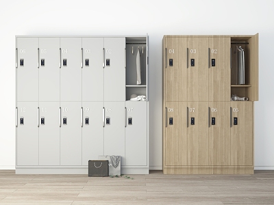 Modern Locker Storage Cabinet model