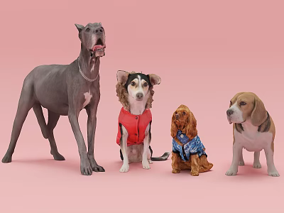 The Modern Dog 3d model