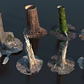 Various Natural Tree Stumps With Moss And Rough Wood Textures For Decor Design