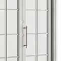 Modern White Double Doors With Glass Panes And Metal Handles Design