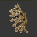 Beautiful Branching Coral Formation Providing Vital Habitat For Diverse Aquatic Animals