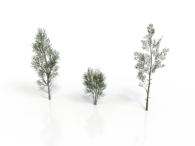 Three Different Size Green Trees With Foliage Isolated On White Background 3d model