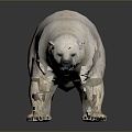 Modern bear polar bear white bear cartoon bear 3d model