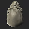 Human Skull 3D Model With Anatomical Details And White Render On Gray Background 3d model