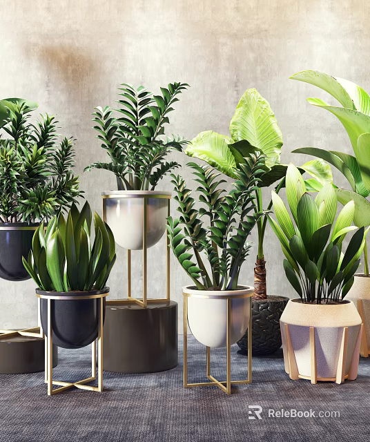 Potted Bonsai Plants with Various Decorative Pots Metal Stands and Lush Green Leaves 3d model 