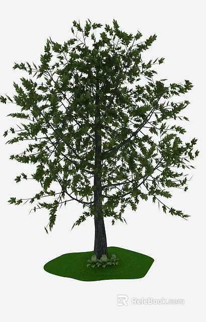 Lush Green Tree With Dense Foliage And Sturdy Trunk In Outdoor Area 3d model 