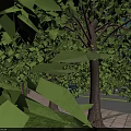 Modern Hospital Building Exterior Design With Main Entrance Parking And Green Landscaping