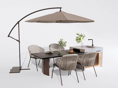 Modern Outdoor Dining Table With Cantilever Umbrella Chairs Plants And Water Tap 3d model
