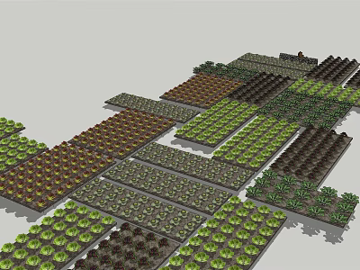 Organized Garden Landscape With Various Plant Beds In Grid Layout Patterns 3d model