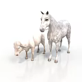 White Horse And Sheep Standing Together On White Background