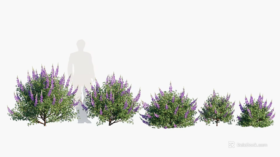 Purple Flowering Shrubs In Various Sizes Arranged With Person For Size Reference 3d model 