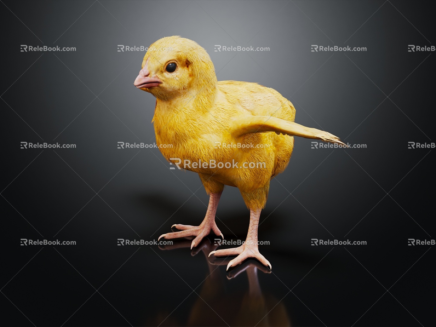 Modern Chick Chick Chick 3d model