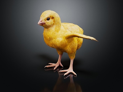 Modern Chick 3d model