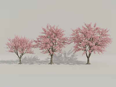 Three Trees With Pink Blossoms Brown Trunks And Shadows On Gray Background 3d model