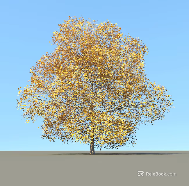 Golden Yellow Leaf Deciduous Tree With Lush Canopy Under Clear Blue Sky 3d model 