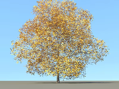 Golden Yellow Leaf Deciduous Tree With Lush Canopy Under Clear Blue Sky 3d model