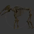 Prehistoric Mammoth Skeleton With Long Tusks And Complete Bone Structure