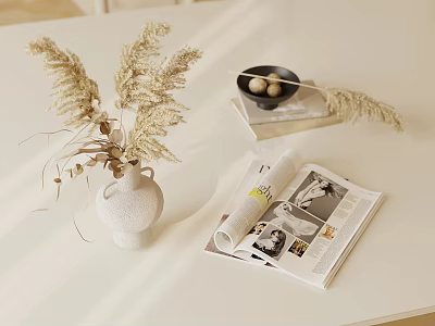 Elegant Decorative Ornament Set With White Vase Dried Pampas Grass Magazine And Black Dish 3d model